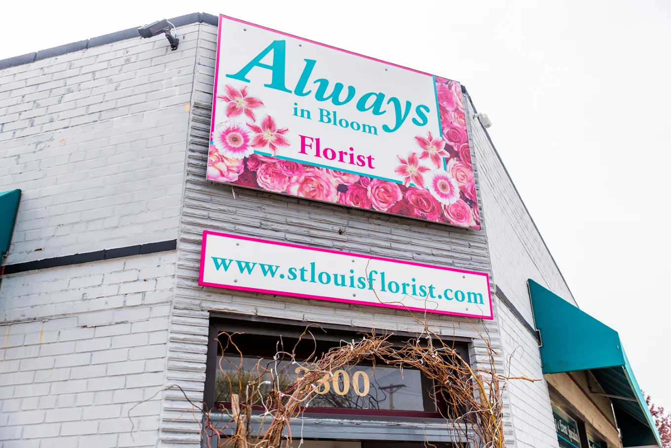 Always in Bloom